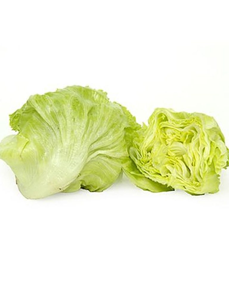 10000133_14-fresho-lettuce-iceberg